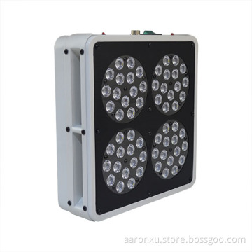 Apollo 4 LED Grow Light